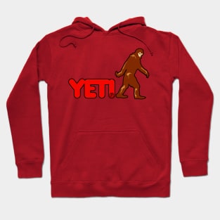 Yeti Clothes Hoodie